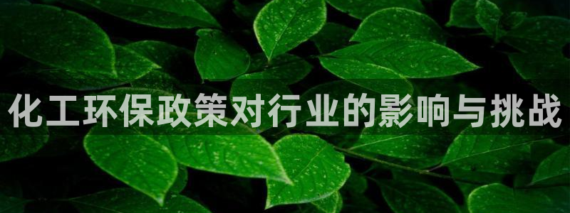 亿万乐购生活超市：化工环保政策对行业的影响与挑战