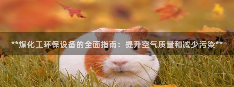 亿万app：**煤化工环保设备的全面指南：提升空气质量和减少污染**