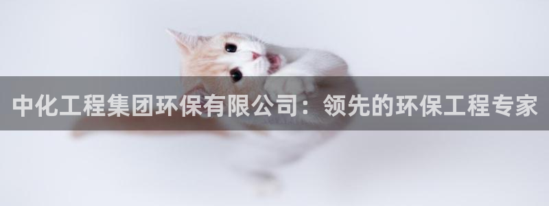 电影 亿万：中化工程集团环保有限公司：领先的环保工程专家