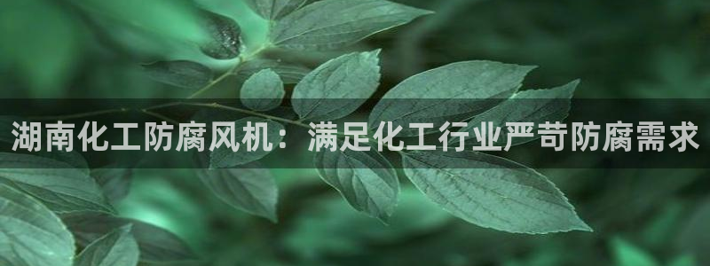 亿万先生现在的网址谁知道是真的：湖南化工防腐风机：满足化工行业严苛防腐需求