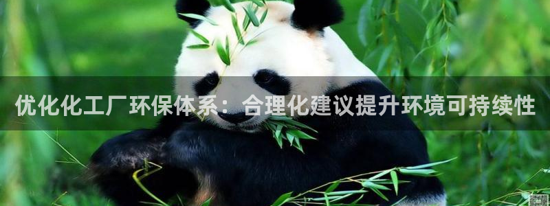 亿万先生现在的网址谁知道是真的：优化化工厂环保体系：合理化建议提升环境可持续性