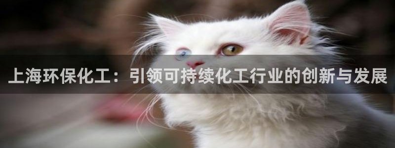 亿万先生合并网址：上海环保化工：引领可持续化工行业的创新与发展