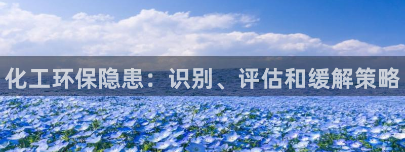 亿万先生mr014：化工环保隐患：识别、评估和缓解策略