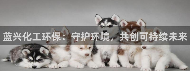 亿万购平台最新消息：蓝兴化工环保：守护环境，共创可持续未来