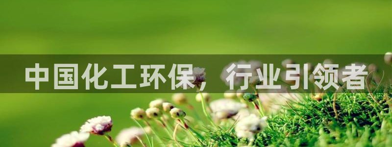 亿万先生网红：中国化工环保，行业引领者
