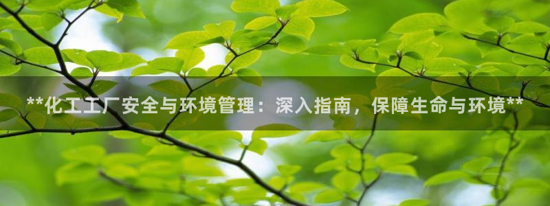 亿万手游平台官网：**化工工厂安全与环境管理：深入指南，保障生命与环境**
