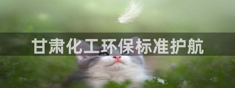 亿万剧情简介：甘肃化工环保标准护航