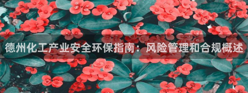 亿万先生手游下载安装：德州化工产业安全环保指南：风险管理和合规概述