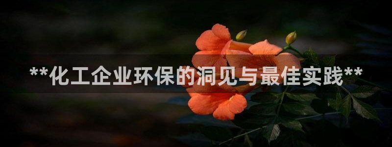 亿万先生换网址了吗：**化工企业环保的洞见与最佳实践**