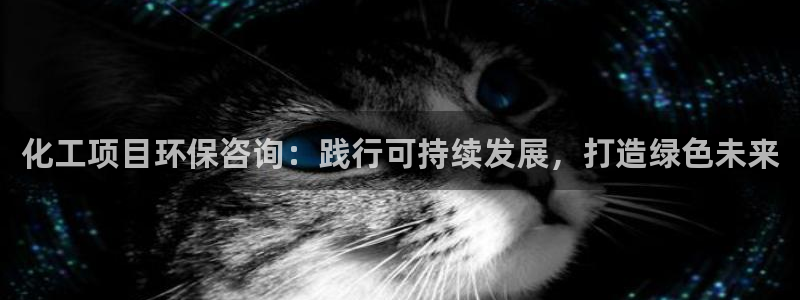 亿万先生mr01官网 - 亿万先生手机版入：化工项目环保咨询：践行可持续发展，打造绿色未来