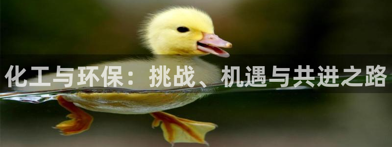 亿万先生007网页登录不了：化工与环保：挑战、机遇与共进之路