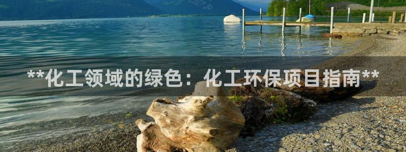 亿万手游平台官网下载：**化工领域的绿色：化工环保项目指南**