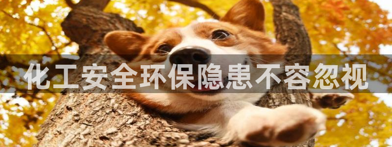 亿万先生客户端官网：化工安全环保隐患不容忽视