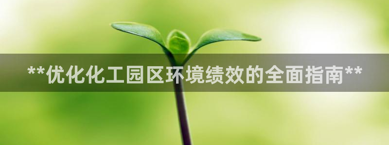 亿万番外：**优化化工园区环境绩效的全面指南**