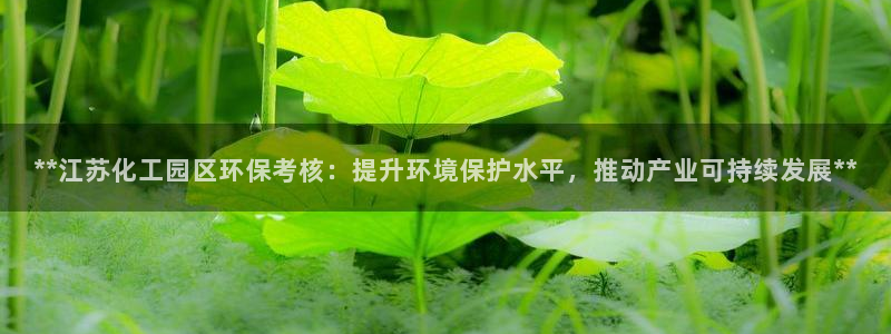 亿万第一季字幕：**江苏化工园区环保考核：提升环境保护水平，推动产业可持续发展**