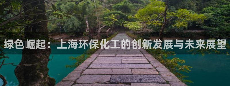 亿万剧集：绿色崛起：上海环保化工的创新发展与未来展望