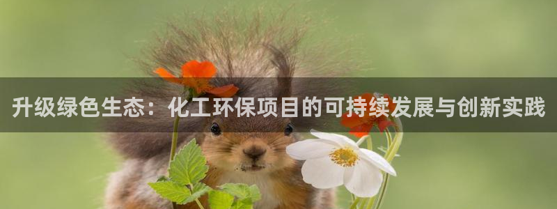 亿万百度吧：升级绿色生态：化工环保项目的可持续发展与创新实践