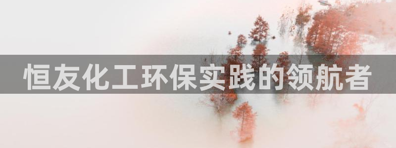 亿万先生mr008：恒友化工环保实践的领航者