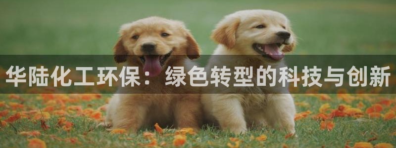 亿万先生客户端下载安装：华陆化工环保：绿色转型的科技与创新