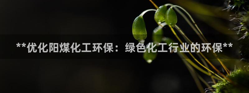 亿万先生官方登录网址：**优化阳煤化工环保：绿色化工行业的环保**
