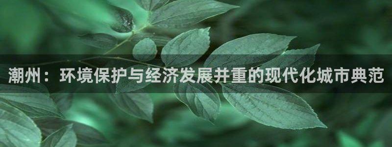 亿万网友在线实时为您解答：潮州：环境保护与经济发展并重的现代化城市典范