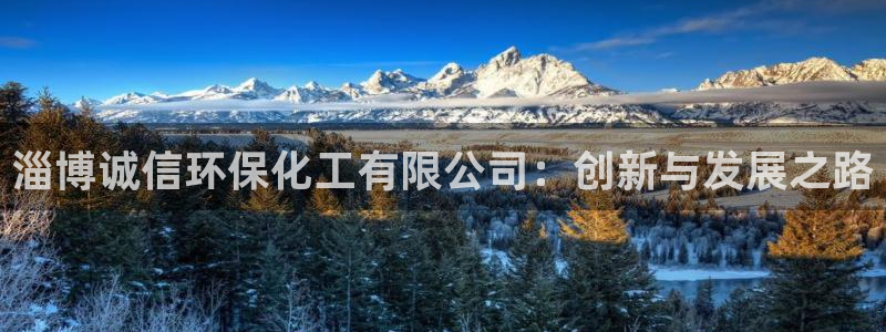 亿万百度百科官网：淄博诚信环保化工有限公司：创新与发展之路