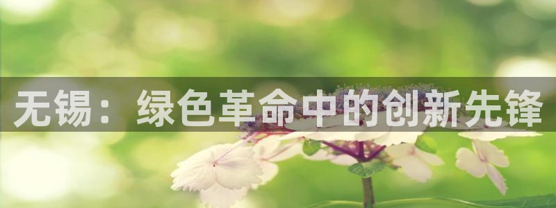 亿万先生客户端官网首页：无锡：绿色革命中的创新先锋