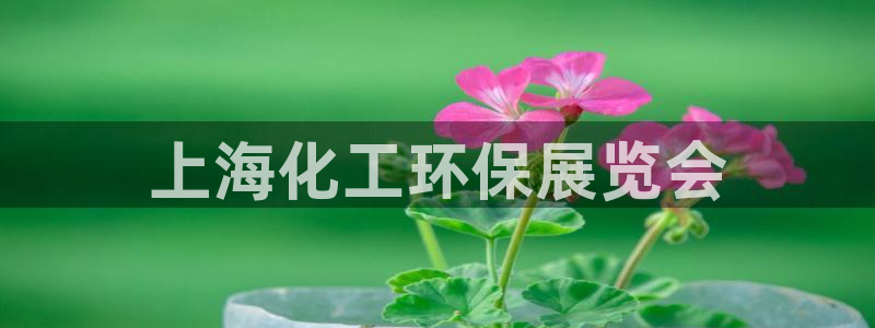 亿万先生合并：上海化工环保展览会