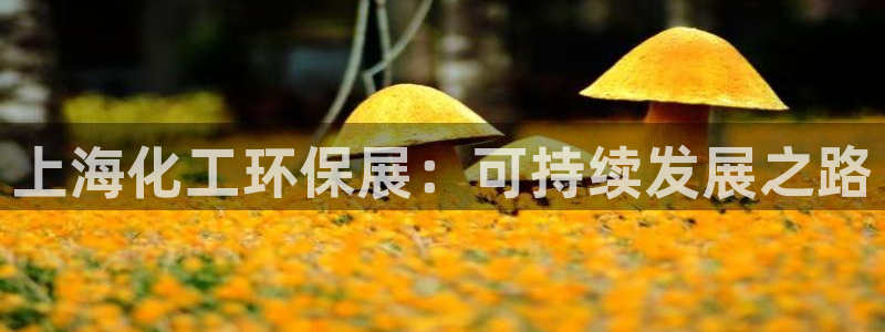 亿万讲了什么：上海化工环保展：可持续发展之路