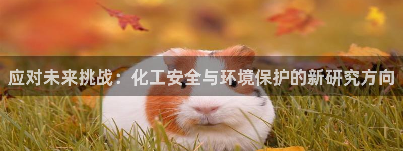 亿万先生 手机版下载安装：应对未来挑战：化工安全与环境保护的新研究方向