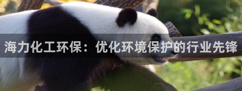 亿万先生手机版入口在哪看：海力化工环保：优化环境保护的行业先锋