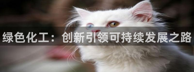 亿万先生官方网站下载安装：绿色化工：创新引领可持续发展之路