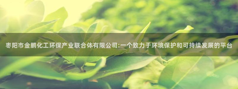 亿万第一集：枣阳市金鹏化工环保产业联合体有限公司:一个致力于环境保护和可持续发展的平台