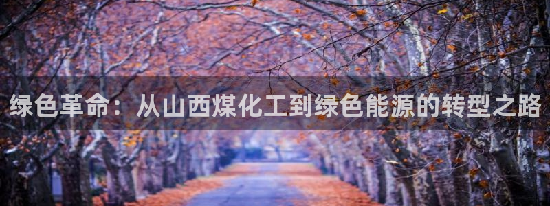 亿万先生手机客户端：绿色革命：从山西煤化工到绿色能源的转型之路