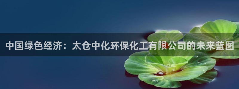 亿万百度吧：中国绿色经济：太仓中化环保化工有限公司的未来蓝图