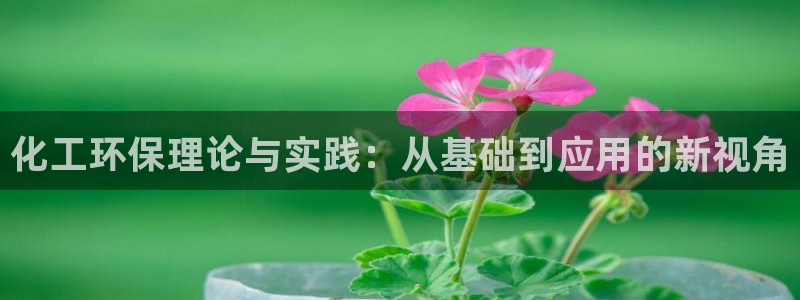 电影亿万：化工环保理论与实践：从基础到应用的新视角