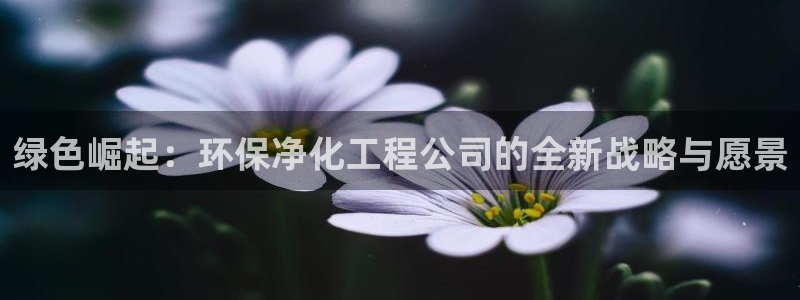 亿万贴吧：绿色崛起：环保净化工程公司的全新战略与愿景