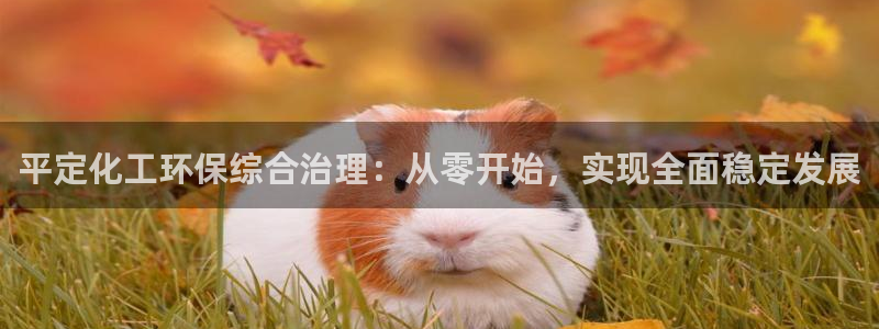 亿万先生手机网页