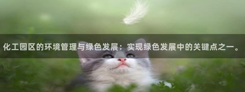 亿万乐购生活超市：化工园区的环境管理与绿色发展：实现绿色发展中的关键点之一。