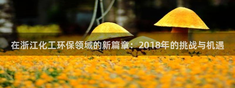亿万官网：在浙江化工环保领域的新篇章：2018年的挑战与机遇