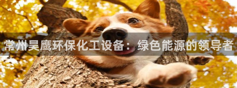 亿万先生客户端官网下载：常州昊鹰环保化工设备：绿色能源的领导者