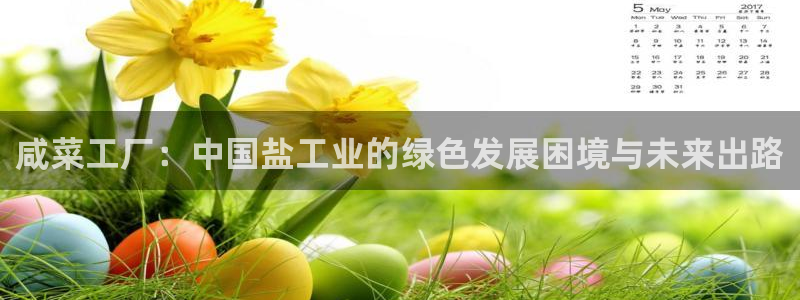 亿万网友在线实时为您解答问题：咸菜工厂：中国盐工业的绿色发展困境与未来出路