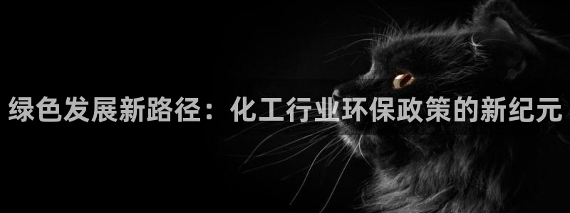mr亿万先生：绿色发展新路径：化工行业环保政策的新纪元