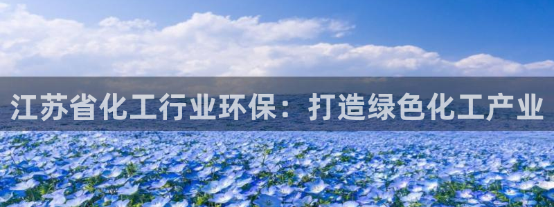 亿万国际合法吗:江苏省化工行业环保:打造绿色化工产业