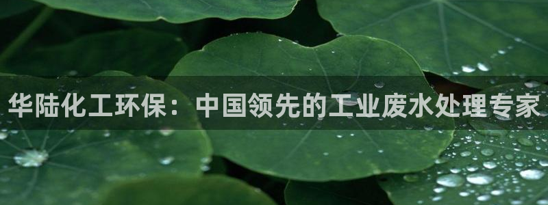 亿万手游平台官网:华陆化工环保:中国领先的工业废水处理专家