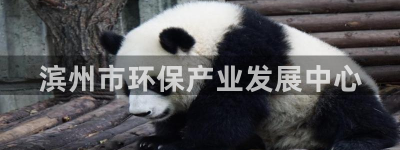 亿万先生客户端官网：滨州市环保产业发展中心