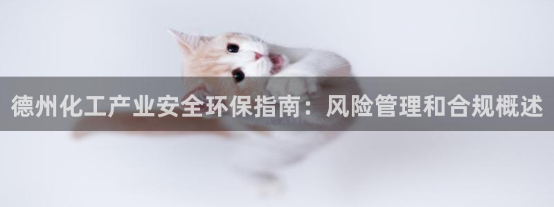 亿万贴吧:德州化工产业安全环保指南:风险管理和合规概述
