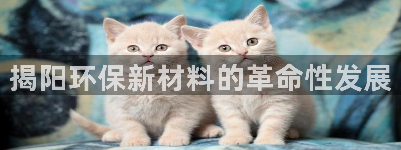 亿万先生客服联系方式查询：揭阳环保新材料的革命性发展