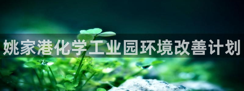 亿万首富手游：姚家港化学工业园环境改善计划