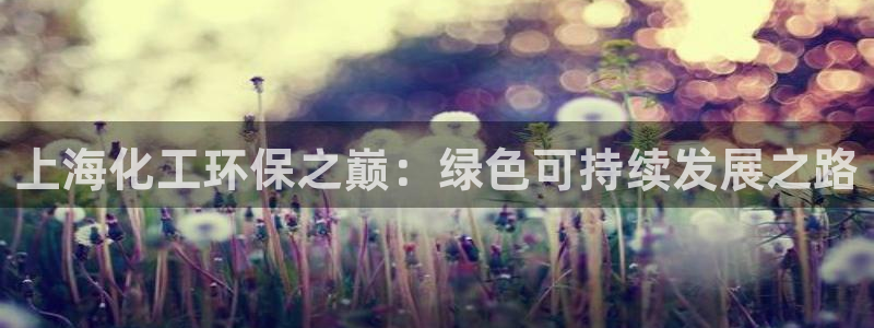 亿万先生手机版入口在哪：上海化工环保之巅：绿色可持续发展之路